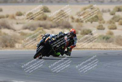 media/May-14-2023-SoCal Trackdays (Sun) [[024eb53b40]]/Turn 5 Tree of Life (1125am)/